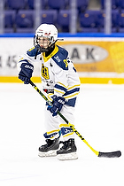 Klik for at se eller bestil foto