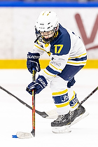 Klik for at se eller bestil foto