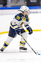 Klik for at se eller bestil foto