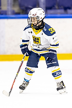 Klik for at se eller bestil foto