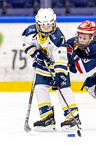 Klik for at se eller bestil foto