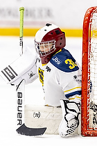 Klik for at se eller bestil foto