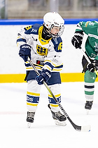 Klik for at se eller bestil foto