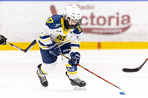 Klik for at se eller bestil foto