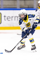 Klik for at se eller bestil foto