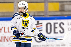 Klik for at se eller bestil foto