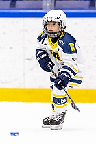 Klik for at se eller bestil foto