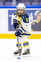 Klik for at se eller bestil foto