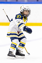 Klik for at se eller bestil foto