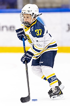 Klik for at se eller bestil foto