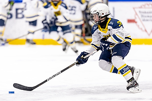 Klik for at se eller bestil foto