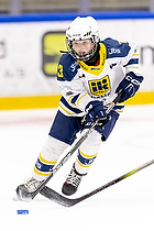 Klik for at se eller bestil foto