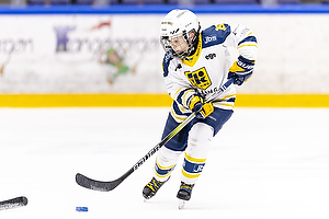 Klik for at se eller bestil foto