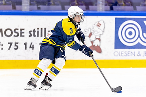 Klik for at se eller bestil foto