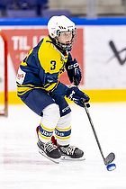 Klik for at se eller bestil foto