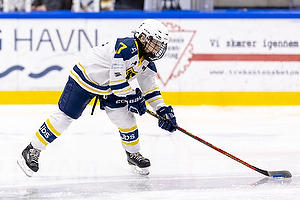 Klik for at se eller bestil foto