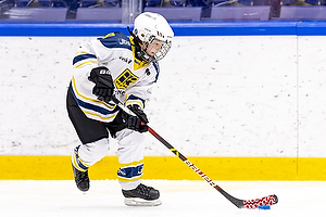 Klik for at se eller bestil foto