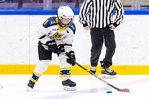 Klik for at se eller bestil foto