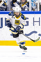 Klik for at se eller bestil foto