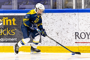 Klik for at se eller bestil foto