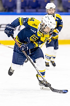 Klik for at se eller bestil foto