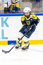 Klik for at se eller bestil foto