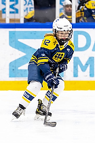 Klik for at se eller bestil foto