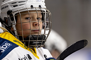 Klik for at se eller bestil foto