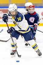 Klik for at se eller bestil foto