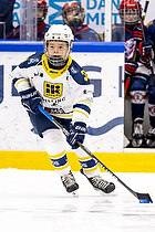 Klik for at se eller bestil foto