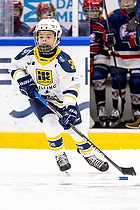 Klik for at se eller bestil foto