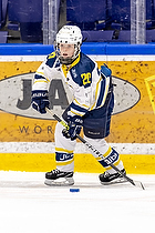 Klik for at se eller bestil foto