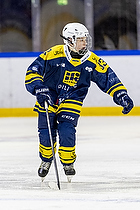 Klik for at se eller bestil foto