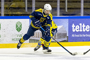 Klik for at se eller bestil foto