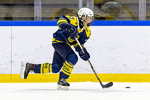 Klik for at se eller bestil foto