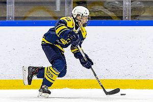 Klik for at se eller bestil foto