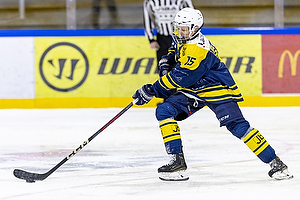 Klik for at se eller bestil foto