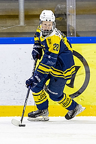 Klik for at se eller bestil foto