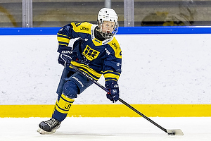 Klik for at se eller bestil foto