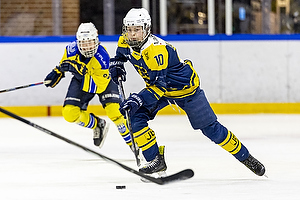 Klik for at se eller bestil foto