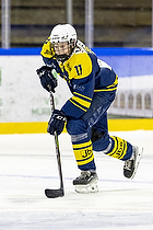 Klik for at se eller bestil foto