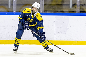 Klik for at se eller bestil foto