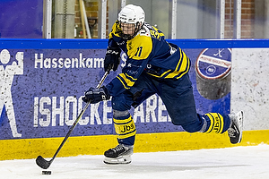 Klik for at se eller bestil foto