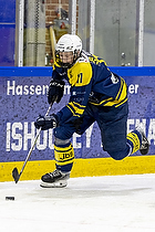 Klik for at se eller bestil foto