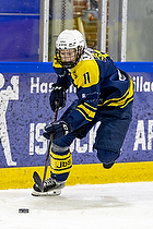 Klik for at se eller bestil foto