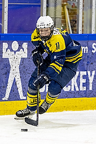 Klik for at se eller bestil foto