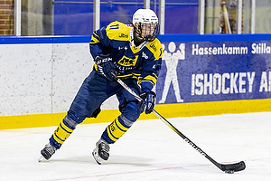 Klik for at se eller bestil foto