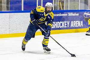 Klik for at se eller bestil foto