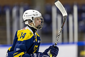 Klik for at se eller bestil foto