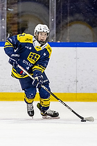 Klik for at se eller bestil foto